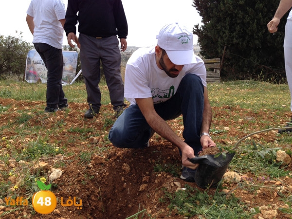 ludandyaffazaitoon (24).JPG